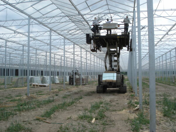 Afbeelding 55c