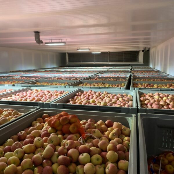 Fruit and vegetables storage